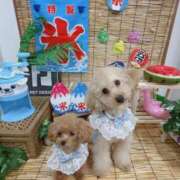 ヒメ日記 2025/08/17 07:01 投稿 ちか☆爆乳ロリ系神カワJK JKサークル