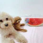 ヒメ日記 2025/08/22 23:49 投稿 ちか☆爆乳ロリ系神カワJK JKサークル