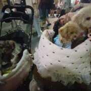 ヒメ日記 2025/08/23 20:10 投稿 ちか☆爆乳ロリ系神カワJK JKサークル