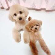 ヒメ日記 2025/08/25 23:29 投稿 ちか☆爆乳ロリ系神カワJK JKサークル