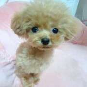 ヒメ日記 2025/08/29 13:05 投稿 ちか☆爆乳ロリ系神カワJK JKサークル