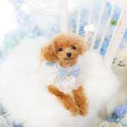 ヒメ日記 2025/08/29 16:42 投稿 ちか☆爆乳ロリ系神カワJK JKサークル