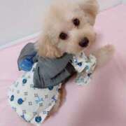 ヒメ日記 2025/09/07 12:07 投稿 ちか☆爆乳ロリ系神カワJK JKサークル