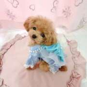 ヒメ日記 2025/09/07 14:03 投稿 ちか☆爆乳ロリ系神カワJK JKサークル