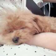 ヒメ日記 2025/09/10 12:33 投稿 ちか☆爆乳ロリ系神カワJK JKサークル