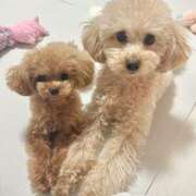 ヒメ日記 2025/09/13 12:11 投稿 ちか☆爆乳ロリ系神カワJK JKサークル