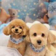 ヒメ日記 2025/09/23 12:29 投稿 ちか☆爆乳ロリ系神カワJK JKサークル