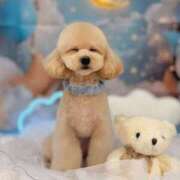 ヒメ日記 2025/09/24 12:20 投稿 ちか☆爆乳ロリ系神カワJK JKサークル