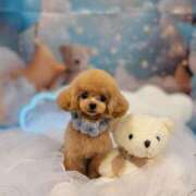 ヒメ日記 2025/09/26 07:01 投稿 ちか☆爆乳ロリ系神カワJK JKサークル