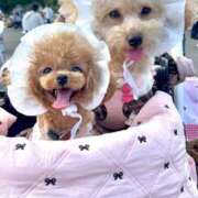 ヒメ日記 2025/09/28 23:36 投稿 ちか☆爆乳ロリ系神カワJK JKサークル