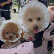 ヒメ日記 2025/10/08 13:23 投稿 ちか☆爆乳ロリ系神カワJK JKサークル