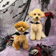 ヒメ日記 2025/10/18 12:44 投稿 ちか☆爆乳ロリ系神カワJK JKサークル