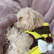 ヒメ日記 2025/10/19 13:28 投稿 ちか☆爆乳ロリ系神カワJK JKサークル