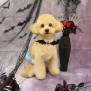 ヒメ日記 2025/10/22 12:17 投稿 ちか☆爆乳ロリ系神カワJK JKサークル