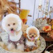 ヒメ日記 2025/10/25 13:06 投稿 ちか☆爆乳ロリ系神カワJK JKサークル