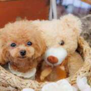 ヒメ日記 2025/10/28 12:12 投稿 ちか☆爆乳ロリ系神カワJK JKサークル