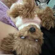 ヒメ日記 2025/10/28 23:58 投稿 ちか☆爆乳ロリ系神カワJK JKサークル