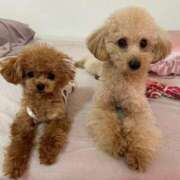 ヒメ日記 2025/11/03 07:00 投稿 ちか☆爆乳ロリ系神カワJK JKサークル