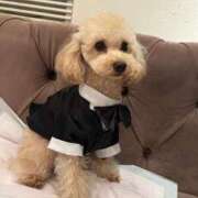 ヒメ日記 2025/11/04 07:15 投稿 ちか☆爆乳ロリ系神カワJK JKサークル