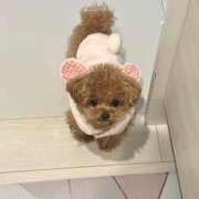 ヒメ日記 2025/11/13 22:27 投稿 ちか☆爆乳ロリ系神カワJK JKサークル