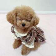 ヒメ日記 2025/11/14 07:00 投稿 ちか☆爆乳ロリ系神カワJK JKサークル