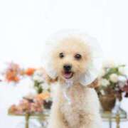 ヒメ日記 2025/11/16 07:00 投稿 ちか☆爆乳ロリ系神カワJK JKサークル