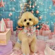 ヒメ日記 2025/11/18 07:00 投稿 ちか☆爆乳ロリ系神カワJK JKサークル