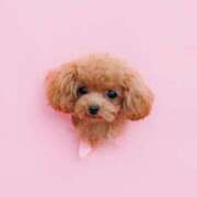 ヒメ日記 2025/11/19 07:00 投稿 ちか☆爆乳ロリ系神カワJK JKサークル