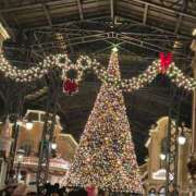 ヒメ日記 2025/11/19 23:23 投稿 ちか☆爆乳ロリ系神カワJK JKサークル