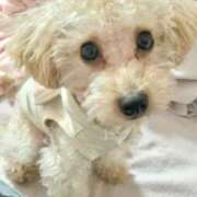 ヒメ日記 2025/11/20 07:00 投稿 ちか☆爆乳ロリ系神カワJK JKサークル