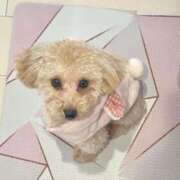 ヒメ日記 2025/11/22 07:00 投稿 ちか☆爆乳ロリ系神カワJK JKサークル