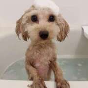 ヒメ日記 2025/11/24 07:00 投稿 ちか☆爆乳ロリ系神カワJK JKサークル