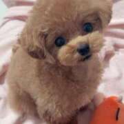 ヒメ日記 2025/11/25 07:00 投稿 ちか☆爆乳ロリ系神カワJK JKサークル