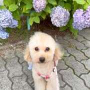 ヒメ日記 2025/11/29 07:00 投稿 ちか☆爆乳ロリ系神カワJK JKサークル