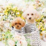 ヒメ日記 2025/11/30 07:00 投稿 ちか☆爆乳ロリ系神カワJK JKサークル