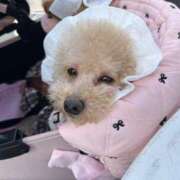 ヒメ日記 2025/12/01 07:01 投稿 ちか☆爆乳ロリ系神カワJK JKサークル