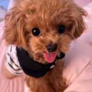 ヒメ日記 2025/12/02 00:01 投稿 ちか☆爆乳ロリ系神カワJK JKサークル