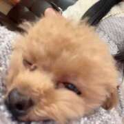 ヒメ日記 2025/12/02 11:43 投稿 ちか☆爆乳ロリ系神カワJK JKサークル