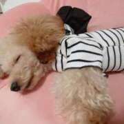 ヒメ日記 2025/12/04 07:00 投稿 ちか☆爆乳ロリ系神カワJK JKサークル