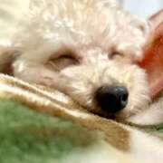 ヒメ日記 2025/12/05 07:00 投稿 ちか☆爆乳ロリ系神カワJK JKサークル