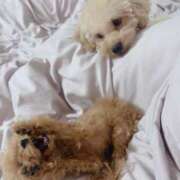 ヒメ日記 2025/12/07 07:00 投稿 ちか☆爆乳ロリ系神カワJK JKサークル