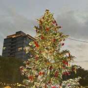 ヒメ日記 2025/12/08 21:53 投稿 ちか☆爆乳ロリ系神カワJK JKサークル