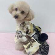 ヒメ日記 2025/12/09 07:00 投稿 ちか☆爆乳ロリ系神カワJK JKサークル