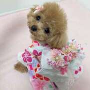 ヒメ日記 2025/12/11 07:00 投稿 ちか☆爆乳ロリ系神カワJK JKサークル