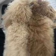 ヒメ日記 2025/12/12 07:00 投稿 ちか☆爆乳ロリ系神カワJK JKサークル