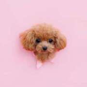 ヒメ日記 2025/12/14 07:00 投稿 ちか☆爆乳ロリ系神カワJK JKサークル