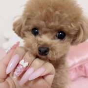 ヒメ日記 2025/12/14 23:51 投稿 ちか☆爆乳ロリ系神カワJK JKサークル