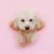 ヒメ日記 2025/12/16 07:00 投稿 ちか☆爆乳ロリ系神カワJK JKサークル