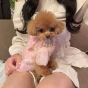 ヒメ日記 2025/12/25 14:25 投稿 ちか☆爆乳ロリ系神カワJK JKサークル