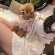 ヒメ日記 2026/01/01 21:06 投稿 ちか☆爆乳ロリ系神カワJK JKサークル